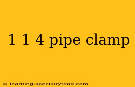 1 1 4 pipe clamp