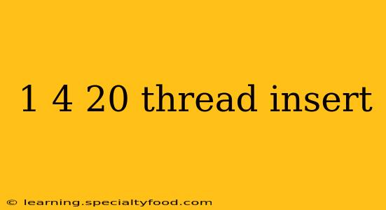 1 4 20 thread insert