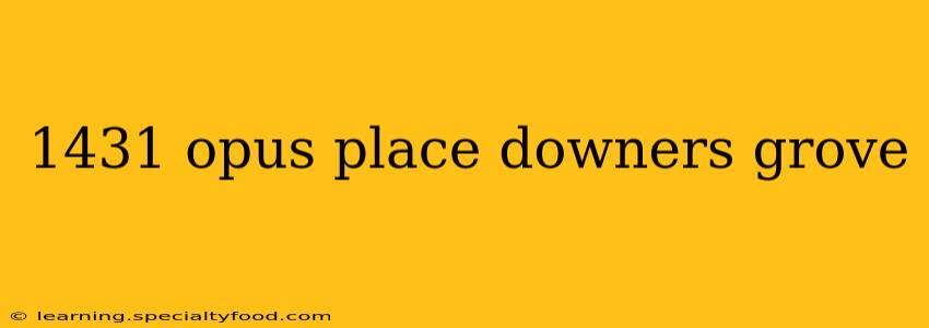 1431 opus place downers grove