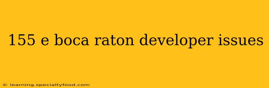 155 e boca raton developer issues