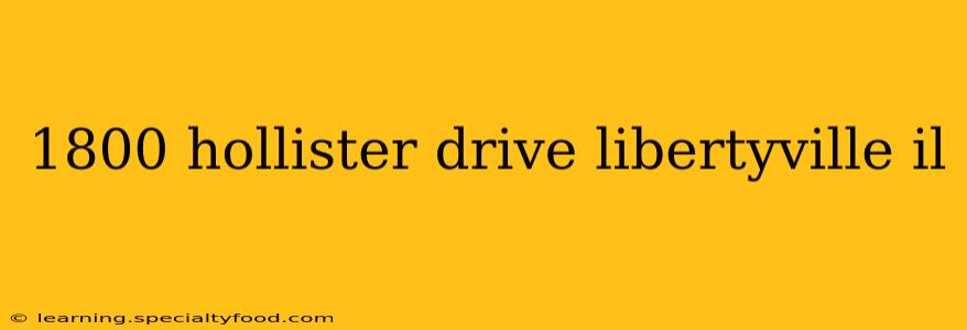 1800 hollister drive libertyville il