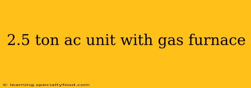2.5 ton ac unit with gas furnace