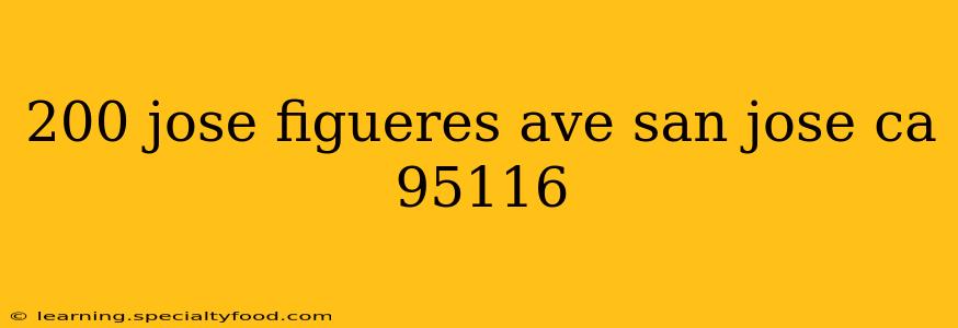 200 jose figueres ave san jose ca 95116
