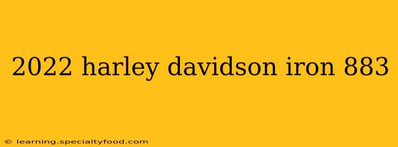2022 harley davidson iron 883
