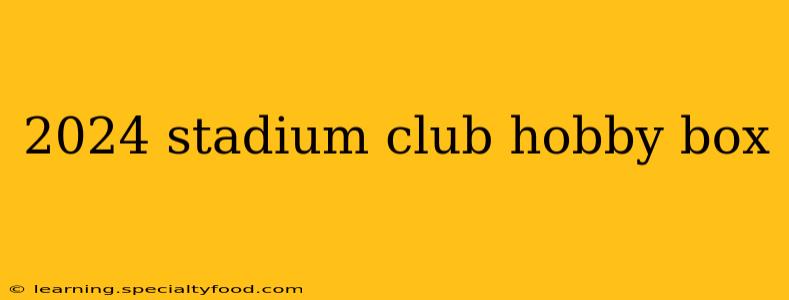 2024 stadium club hobby box
