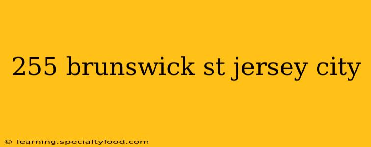 255 brunswick st jersey city