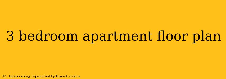 3 bedroom apartment floor plan