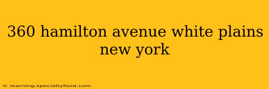 360 hamilton avenue white plains new york