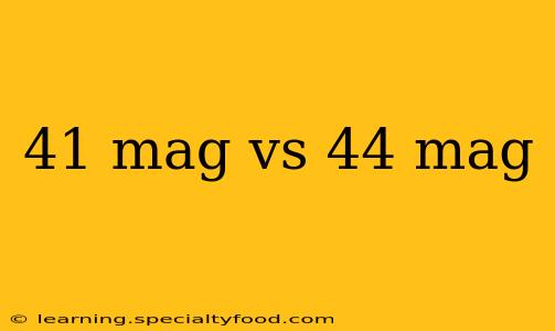 41 mag vs 44 mag
