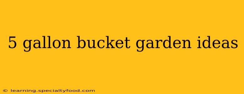 5 gallon bucket garden ideas