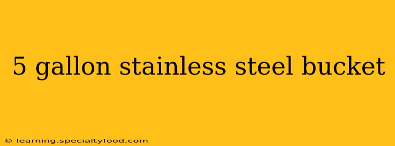 5 gallon stainless steel bucket