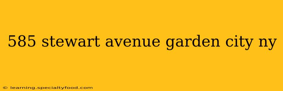 585 stewart avenue garden city ny