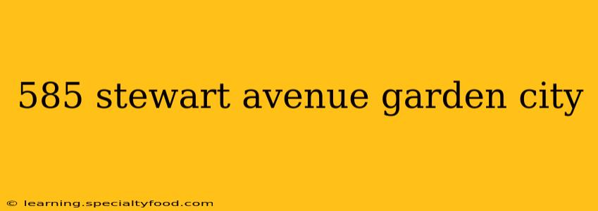 585 stewart avenue garden city