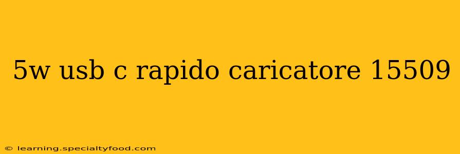 5w usb c rapido caricatore 15509
