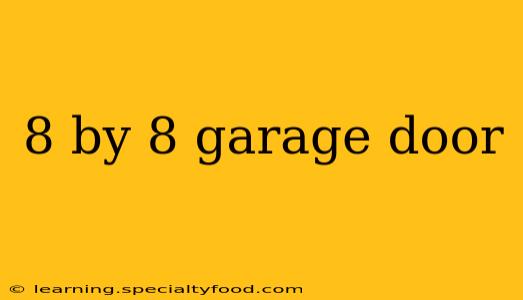 8 by 8 garage door