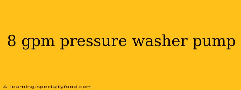 8 gpm pressure washer pump
