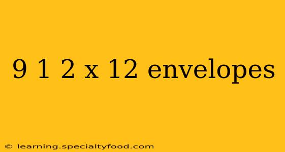 9 1 2 x 12 envelopes