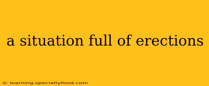 a situation full of erections a situation full of erections