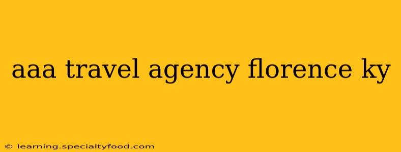aaa travel agency florence ky