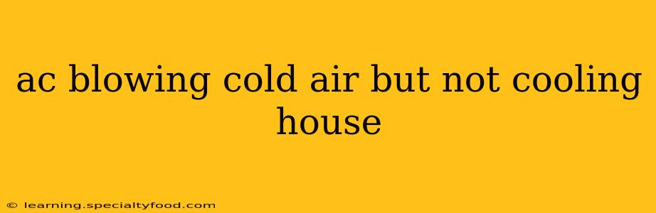 ac blowing cold air but not cooling house
