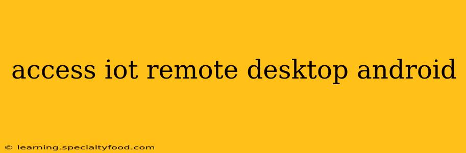 access iot remote desktop android