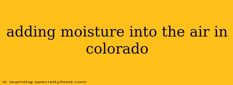 adding moisture into the air in colorado