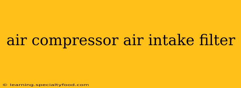 air compressor air intake filter