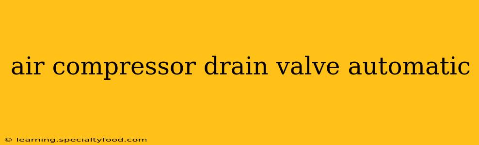 air compressor drain valve automatic