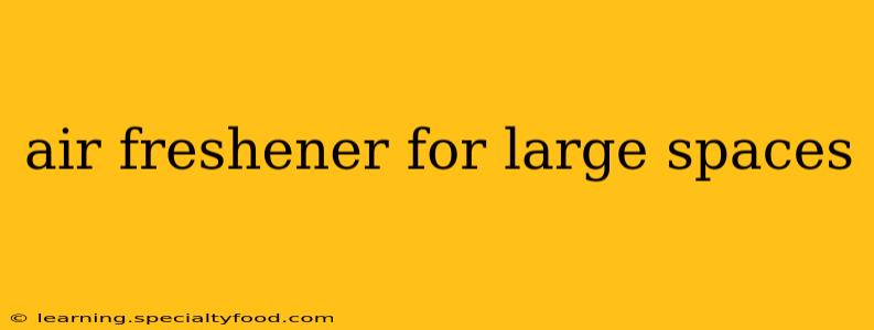 air freshener for large spaces