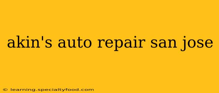 akin's auto repair san jose