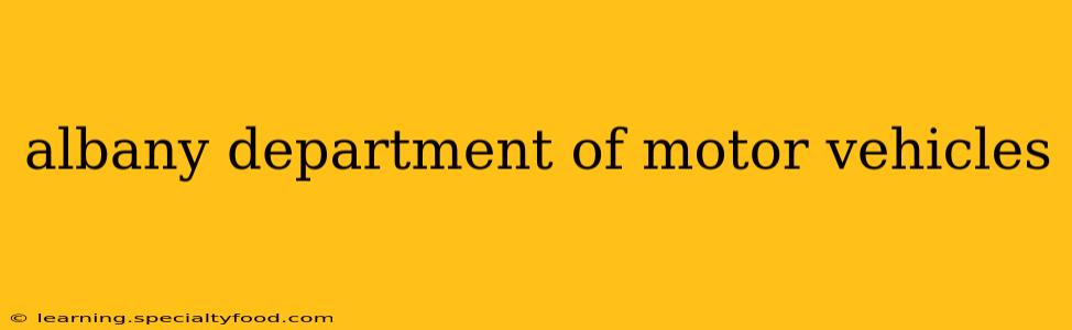 albany department of motor vehicles