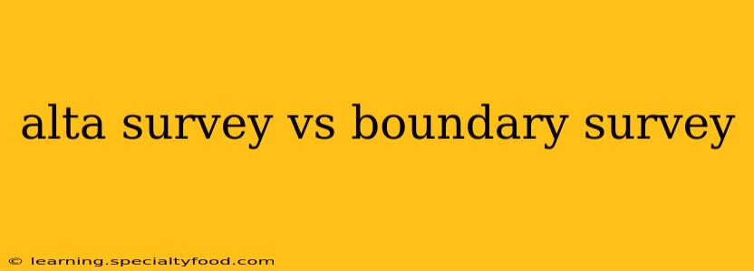 alta survey vs boundary survey