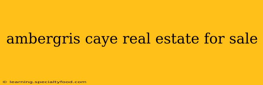 ambergris caye real estate for sale