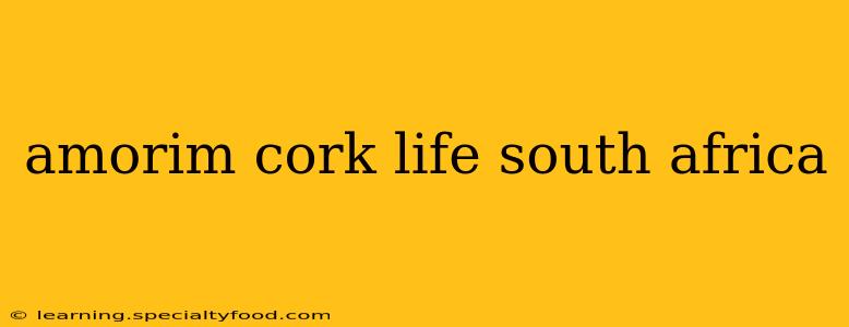 amorim cork life south africa