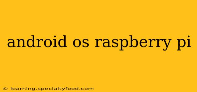 android os raspberry pi