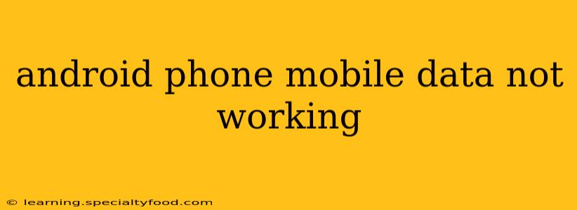 android phone mobile data not working