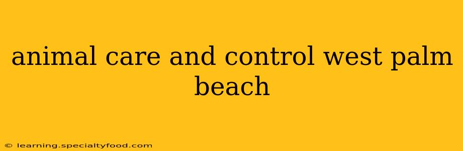 animal care and control west palm beach