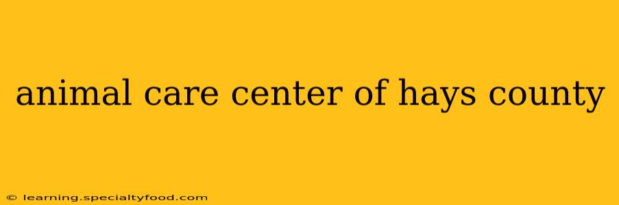 animal care center of hays county