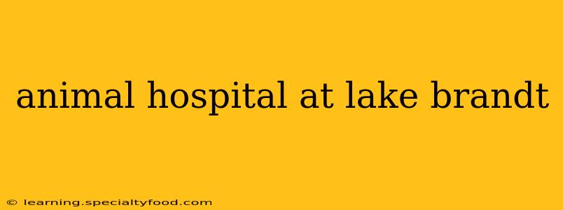 animal hospital at lake brandt