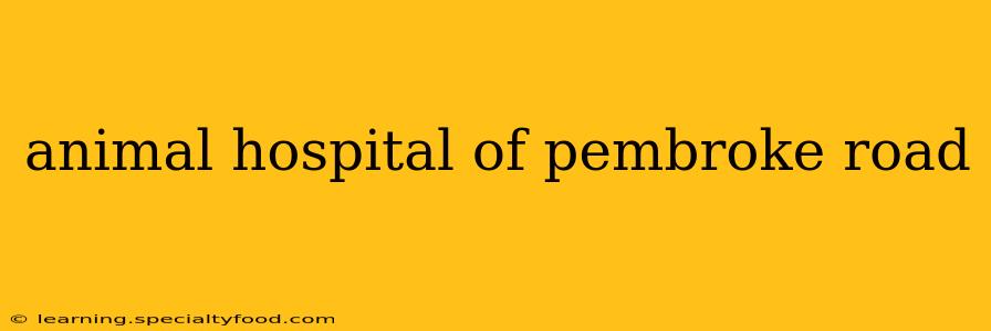 animal hospital of pembroke road