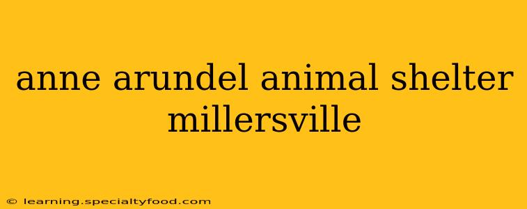 anne arundel animal shelter millersville