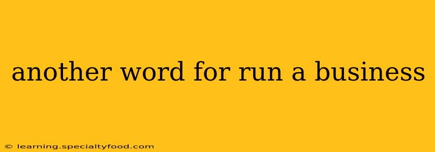 another word for run a business