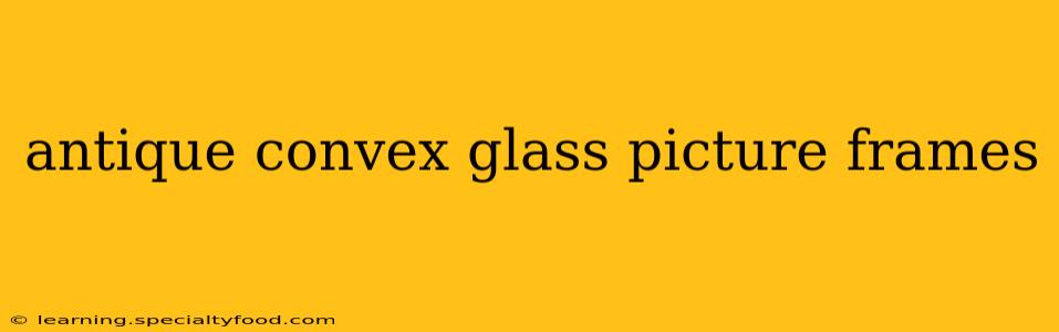 antique convex glass picture frames