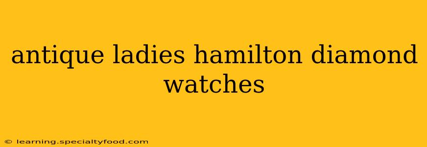antique ladies hamilton diamond watches