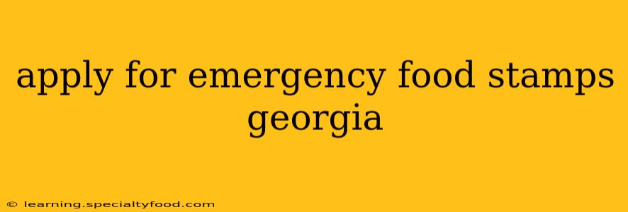 apply for emergency food stamps georgia