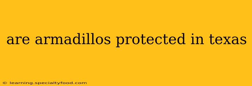 are armadillos protected in texas