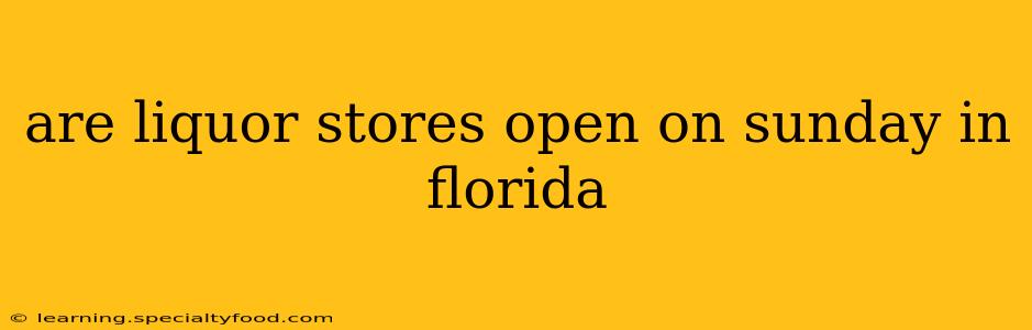are liquor stores open on sunday in florida