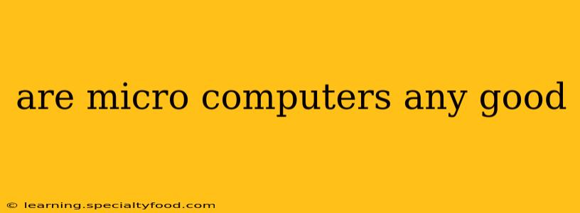 are micro computers any good