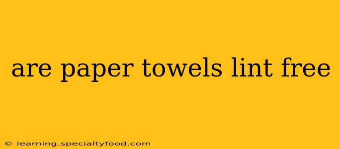 are paper towels lint free