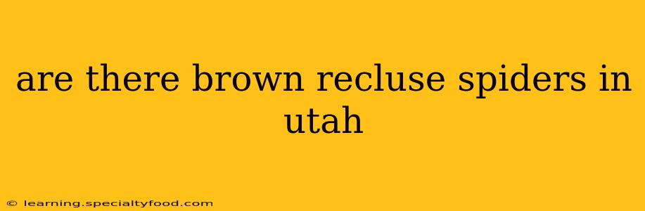 are there brown recluse spiders in utah